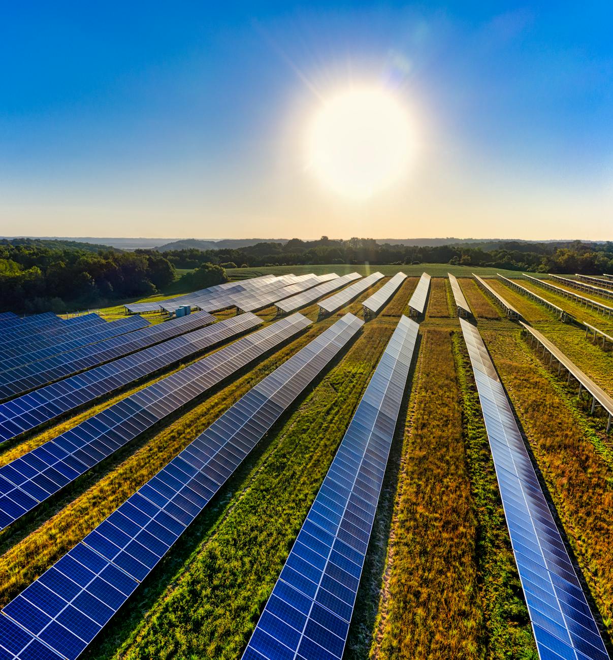 2024 Update: Top Solar Inverter Manufacturers in India